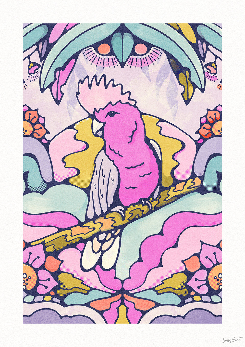 pink galah australian wildlife bird art